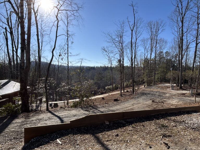A dirt pathway winds downhill through a wooded area with bare trees under a clear blue sky; sunlight shines from the upper left corner.