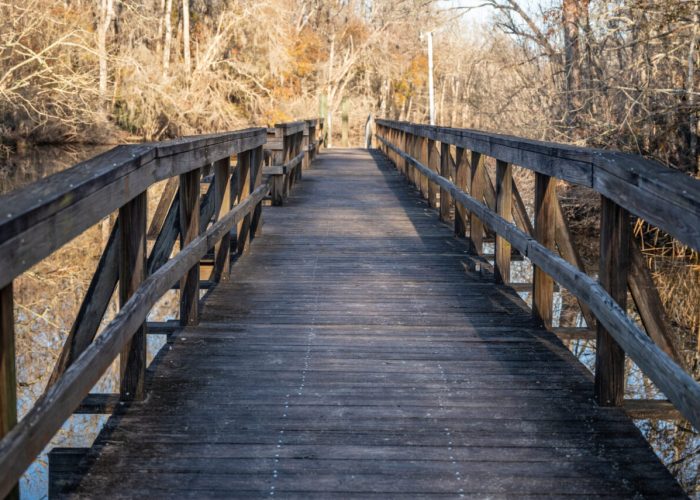 A wooden footbridge extends over a calm body of water, surrounded by leafless trees on a sunny autumn or winter day.